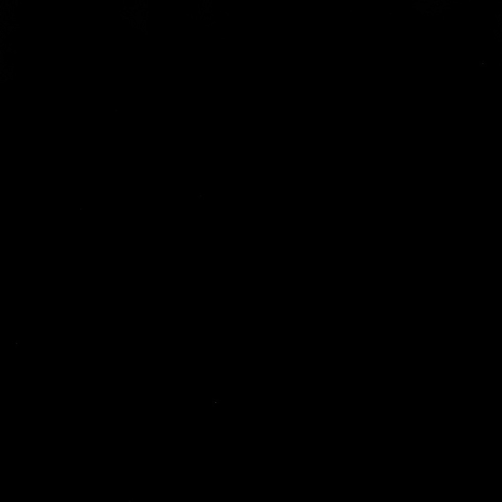 Meet your Posher, Estelle